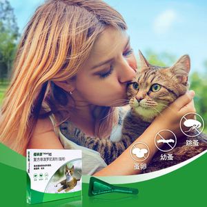 宠物猫用品店-宠物猫用品店赚钱吗