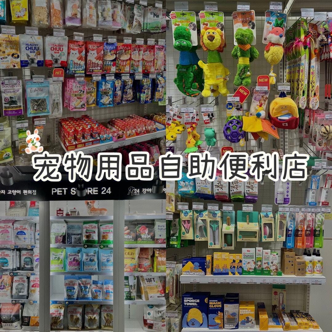 太原宠物用品店-太原宠物用品批发在哪进货