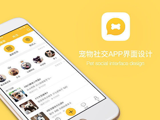 宠物社区app-宠物社区app未来发展趋势