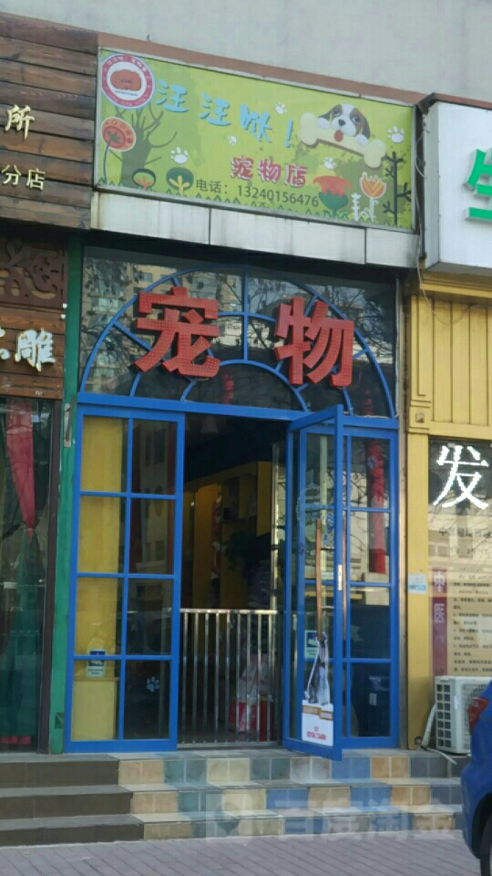 包头宠物用品店-包头宠物交易市场