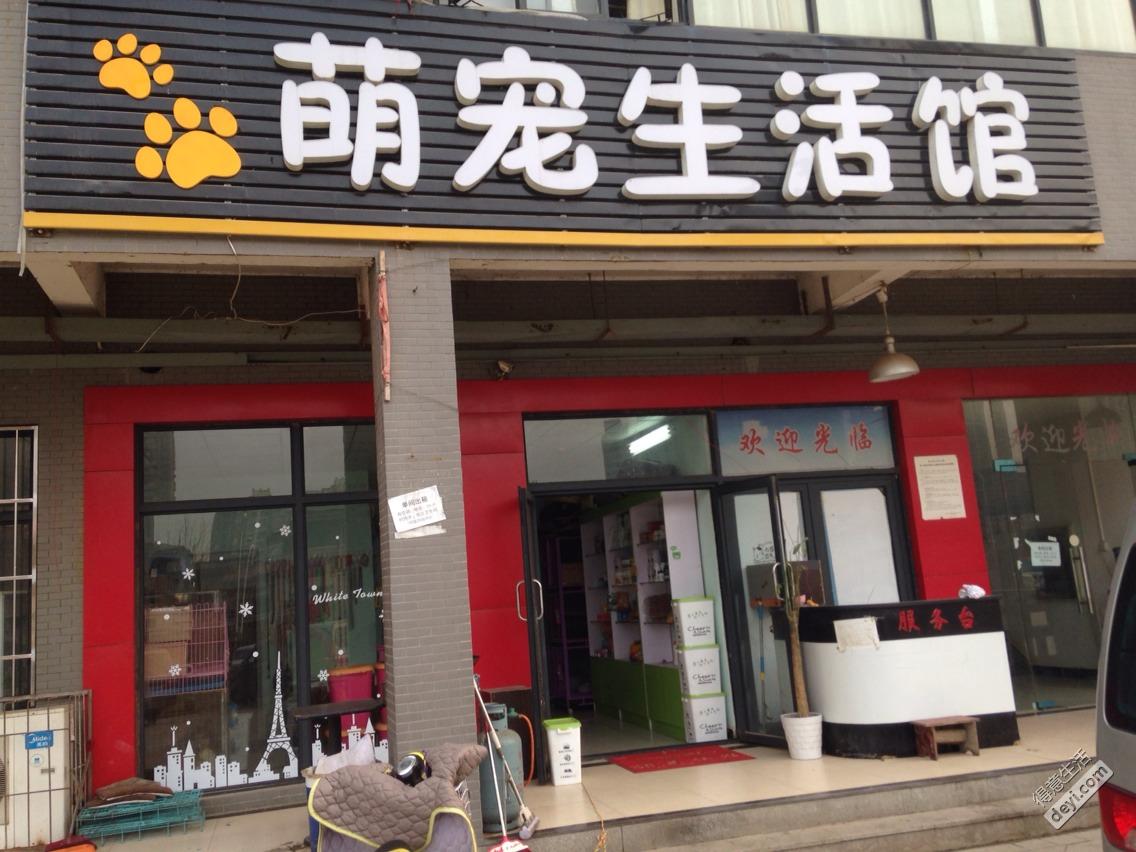 武汉宠物店排行-武汉宠物店排行 鹦鹉