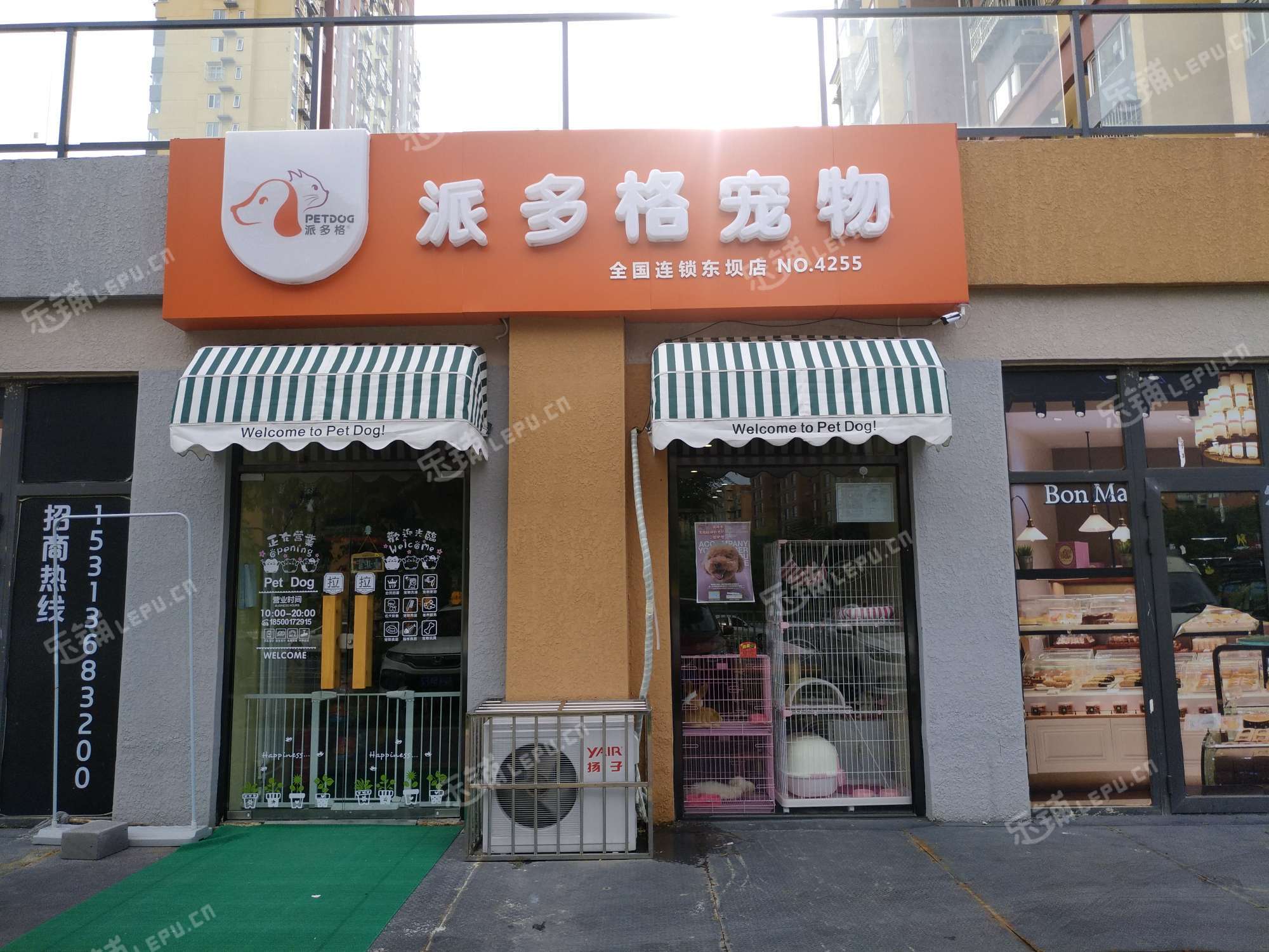 北京朝阳宠物店-朝阳区附近宠物医院