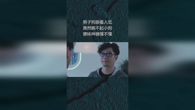 狗眼看人低的图片-狗眼看人低的图片大全