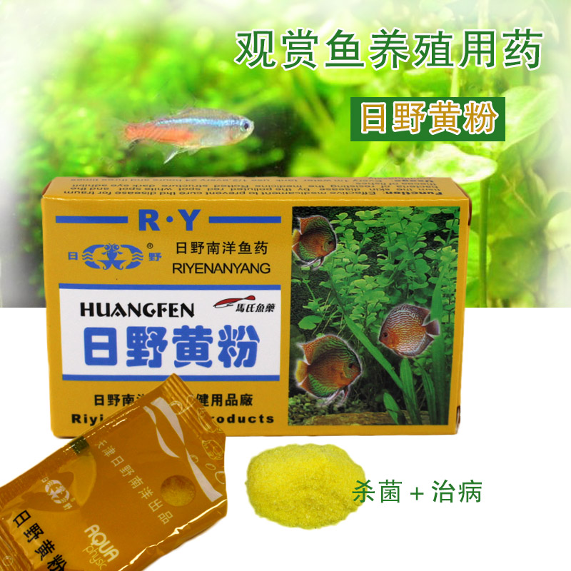 鱼生病了用什么药-小金鱼生病了用什么药