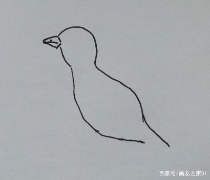 百灵鸟简笔画-百灵鸟简笔画漂亮