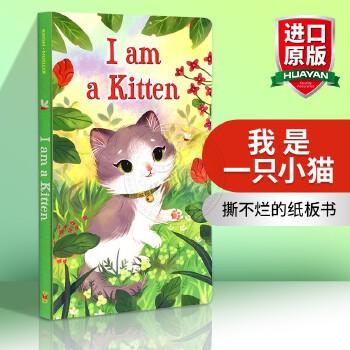 小猫用英语怎么说-小猫用英语怎么说kitten