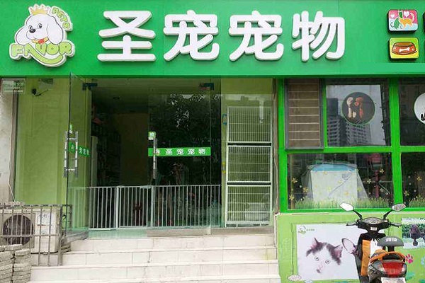 宠物加盟店投资多少钱-宠物加盟店投资多少钱啊