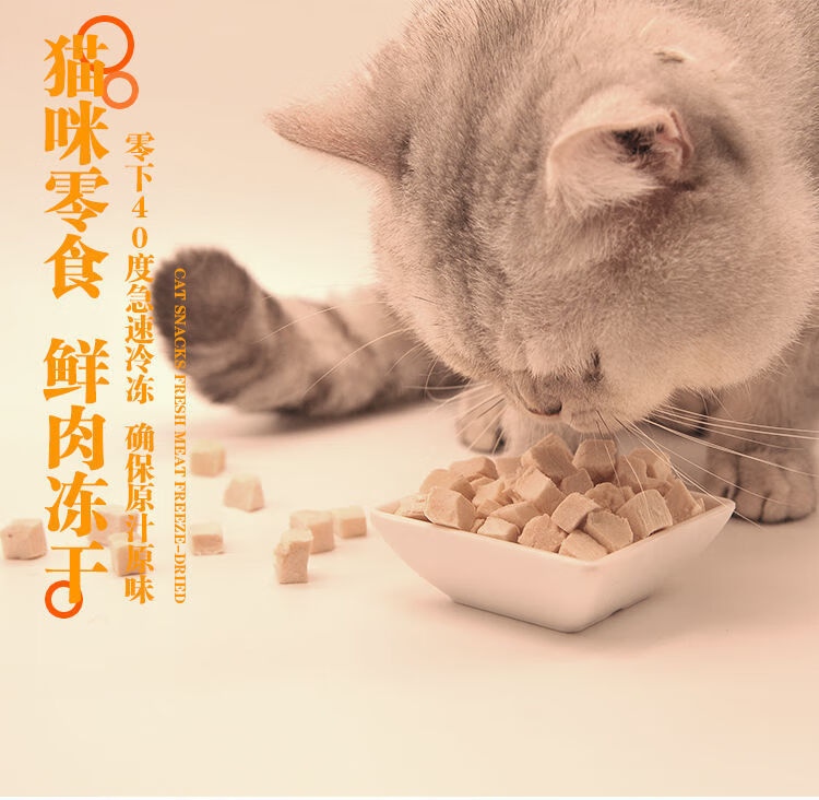 宠物猫食品-宠物猫食品图片