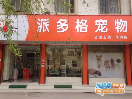 哪里有卖宠物的店-哪里有卖宠物的店子