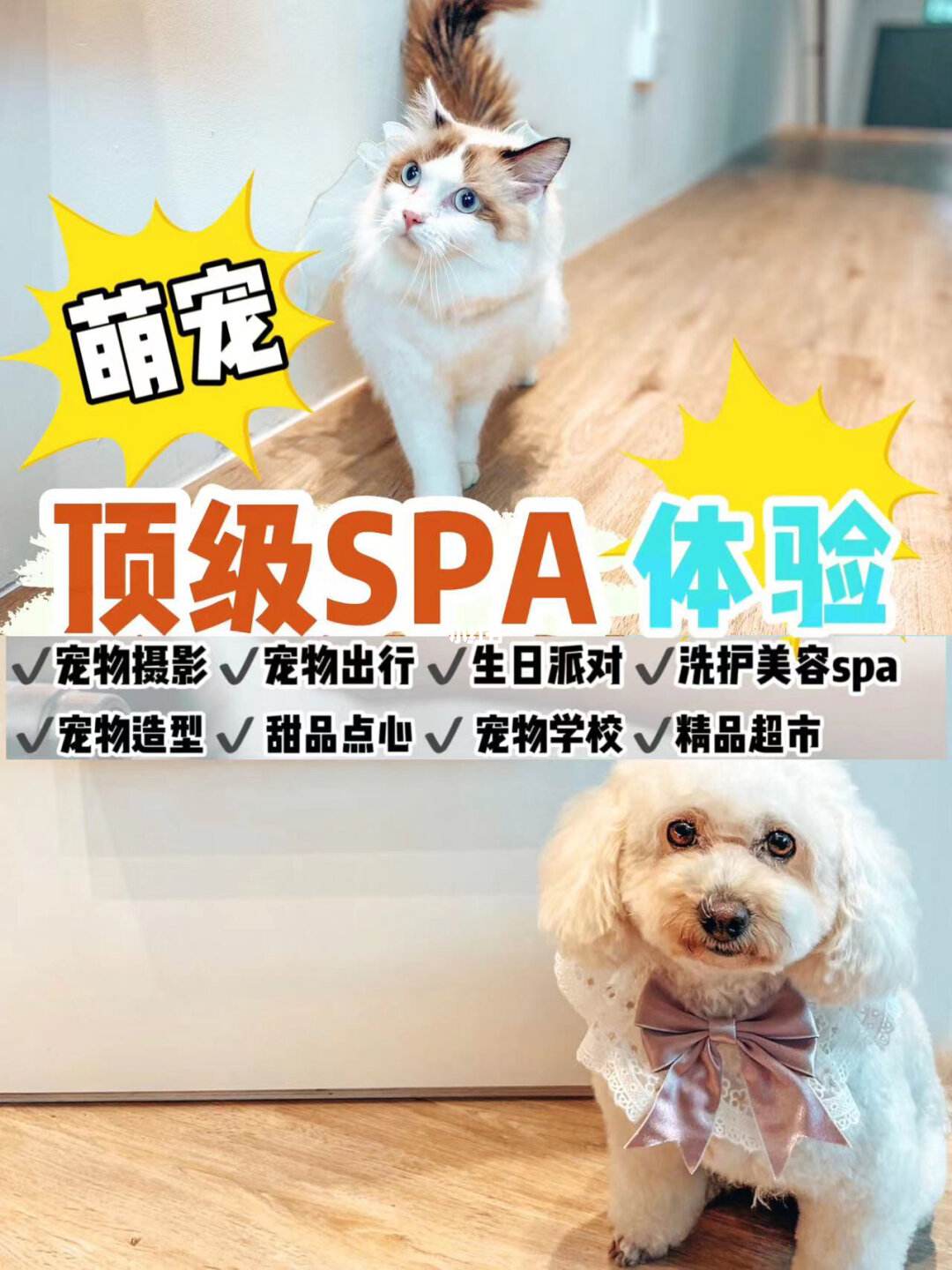 宠物spa材料-宠物spa产品哪个牌子好