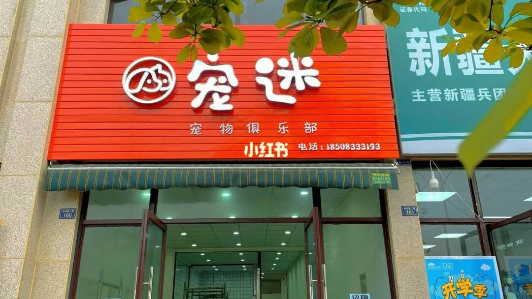 昆山宠物店哪家好-昆山宠物店2019年价目表