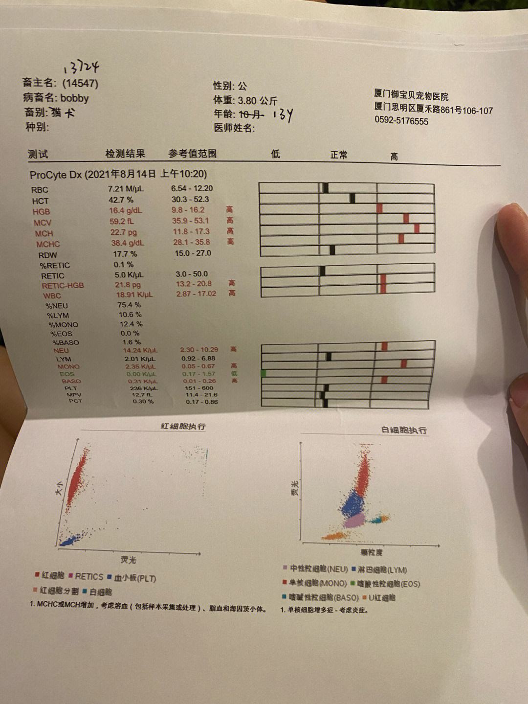 厦门宠物医生-厦门宠物医生招聘