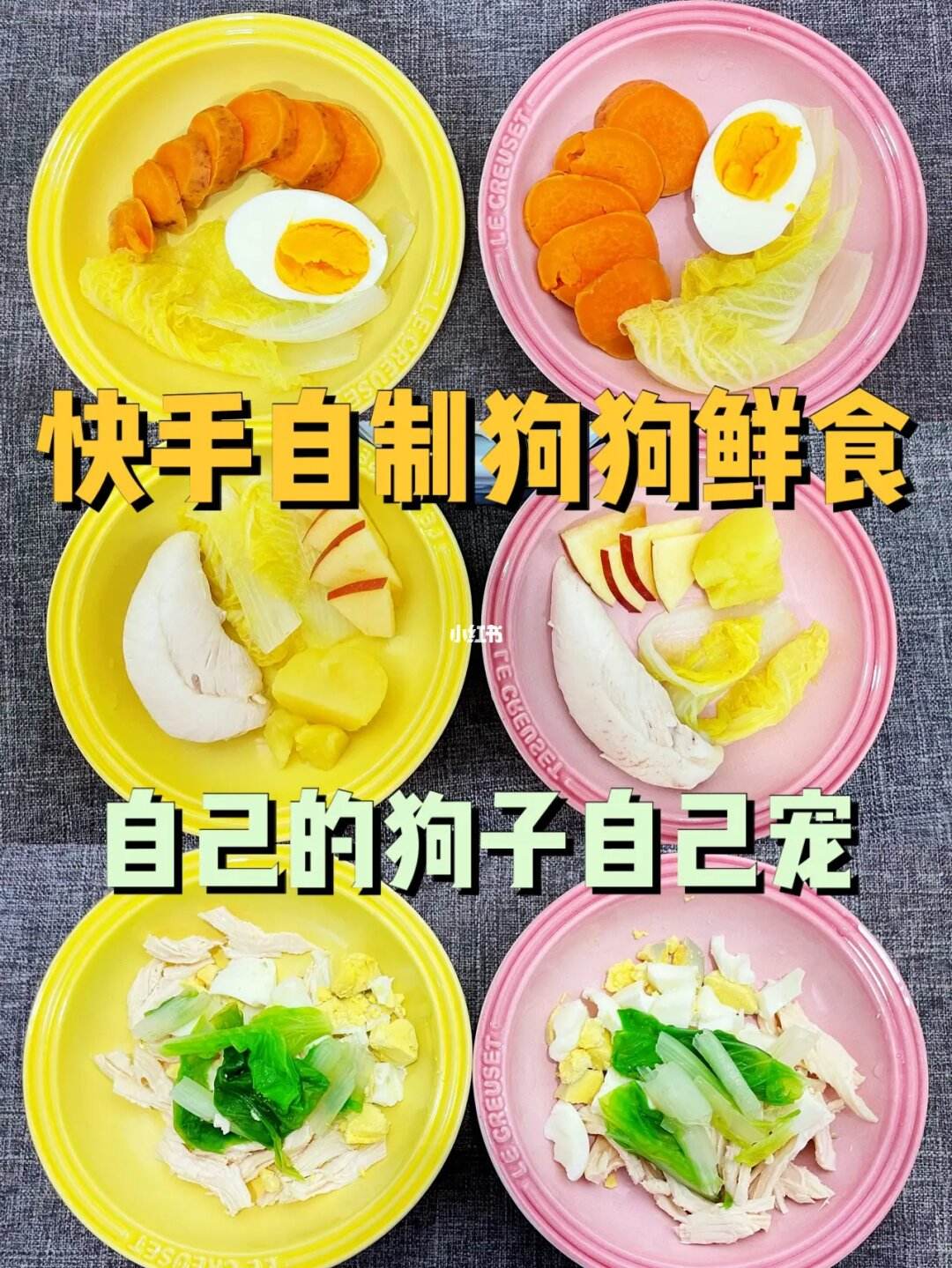 自制宠物营养食谱-自制宠物食品怎么能合法