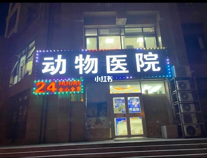 上海24小时宠物店-上海24小时宠物店地址