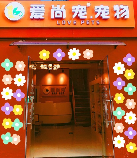 北京市大兴区宠物店-北京市大兴区宠物店有哪些