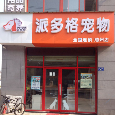 柳市派多格宠物店-派多格宠物店宠物美容消费价格