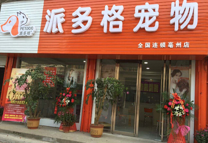 宠物代卖店-宠物店代卖宠物猫