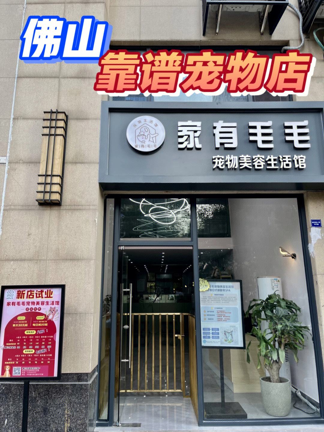 淮北市宠物店-淮北市宠物店有哪些