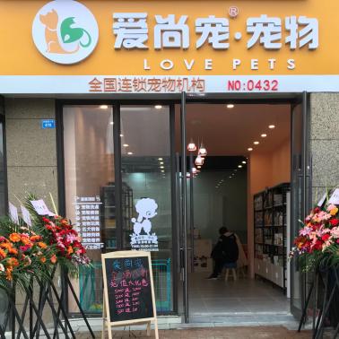 桐庐宠物美容店-桐庐宠物美容店哪家好