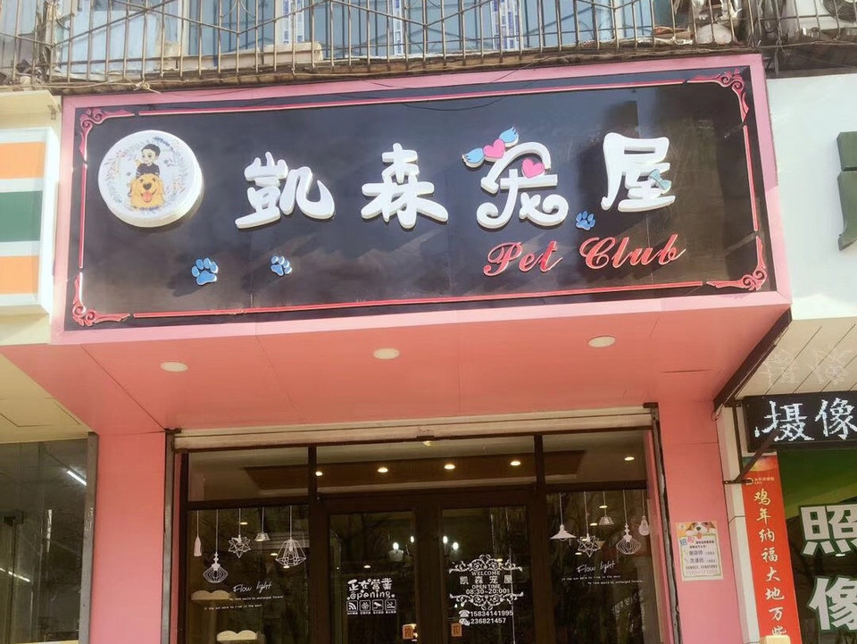 太原附近宠物店-太原附近宠物店哪家好