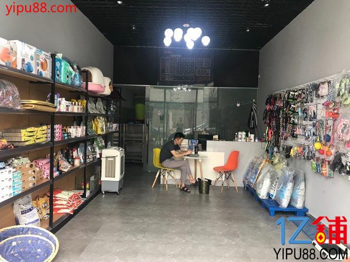 成都宠物商店-成都宠物商店哪家好