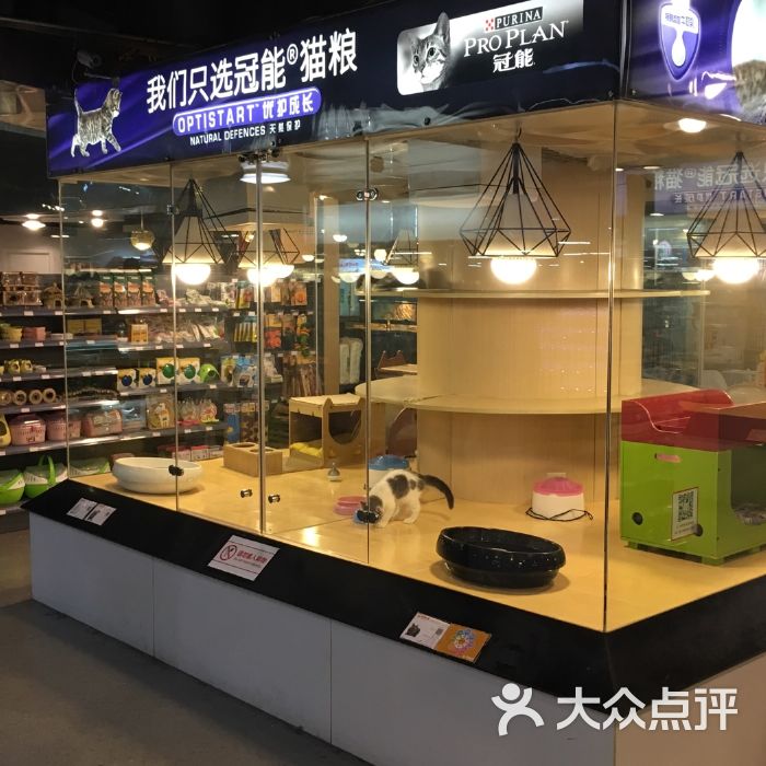 北京宠物店图片-北京宠物店图片大全