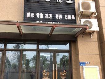 厦门猫宠物店-厦门宠物猫市场在哪里