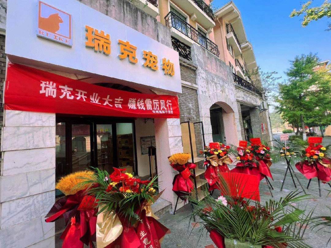 新乡哪个宠物店好-新乡有没有宠物市场