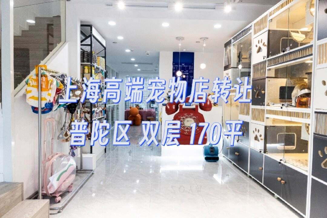 上海大宠物店-上海宠物店加盟