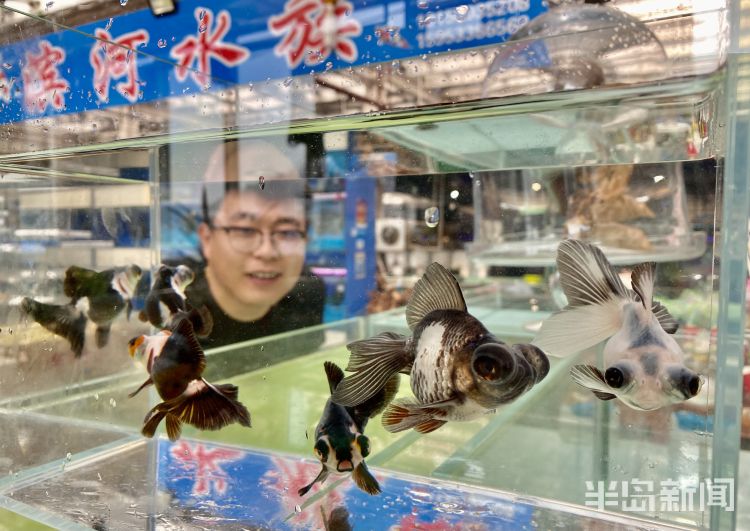 水族宠物市场-中国宠物水族用品展销会