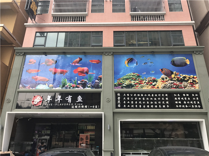 水族宠物市场-中国宠物水族用品展销会