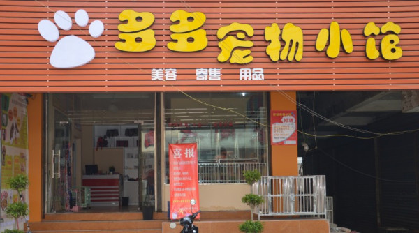 武汉买狗宠物店-武汉哪有宠物狗市场