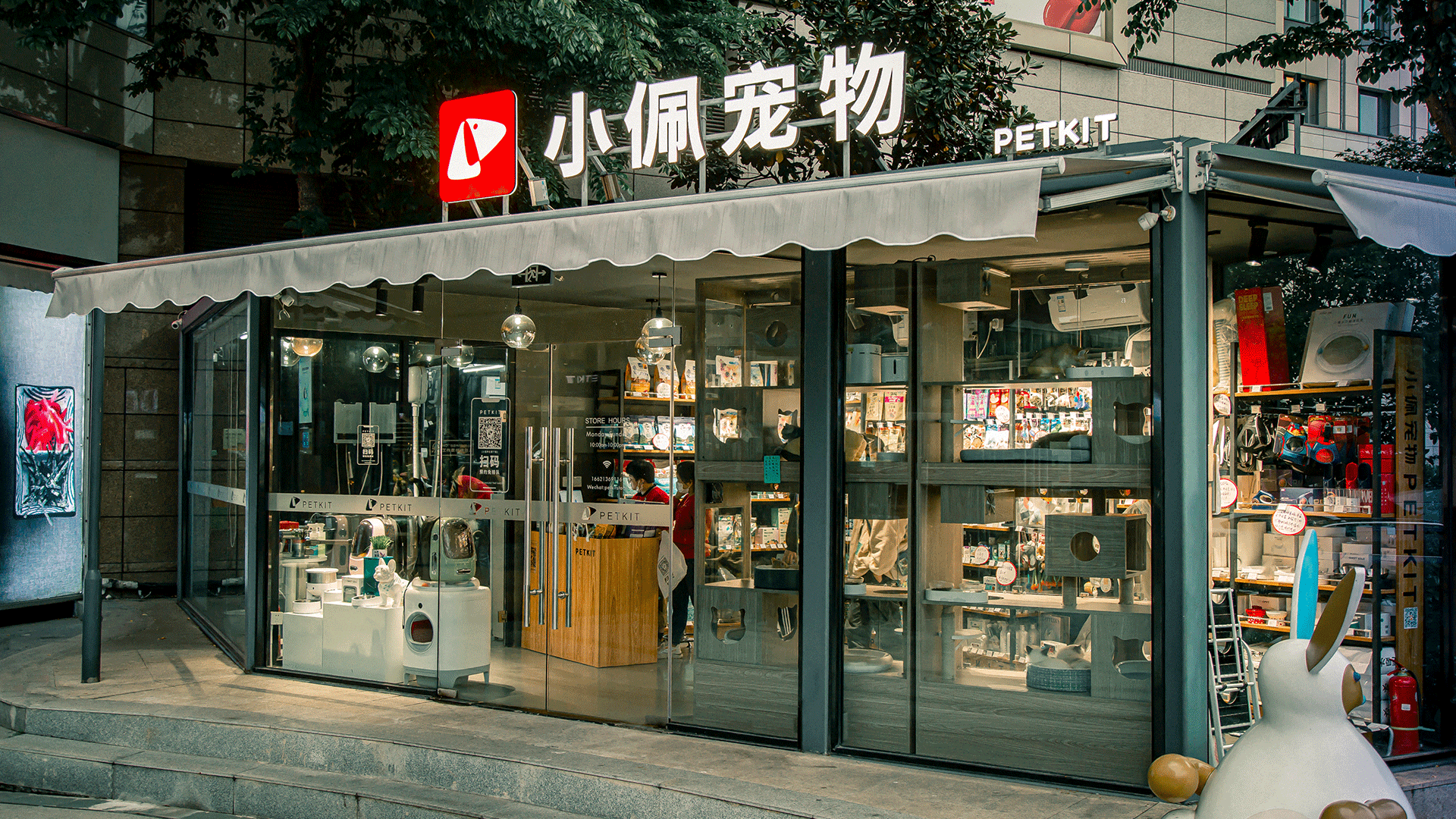 开宠物店哪里进货宠物-开一家宠物店去哪里买宠物比较好