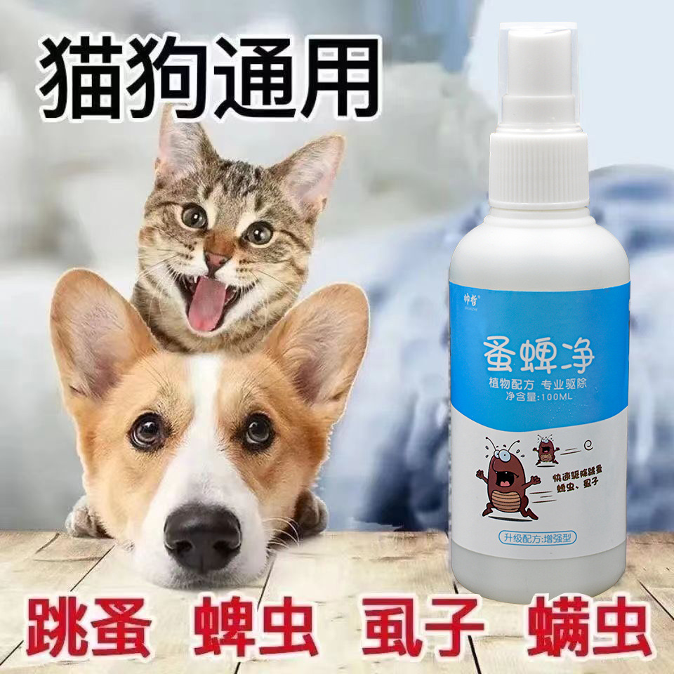 宠物犬做驱虫多少钱-宠物犬做驱虫多少钱一针