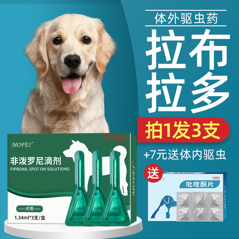 宠物犬做驱虫多少钱-宠物犬做驱虫多少钱一针