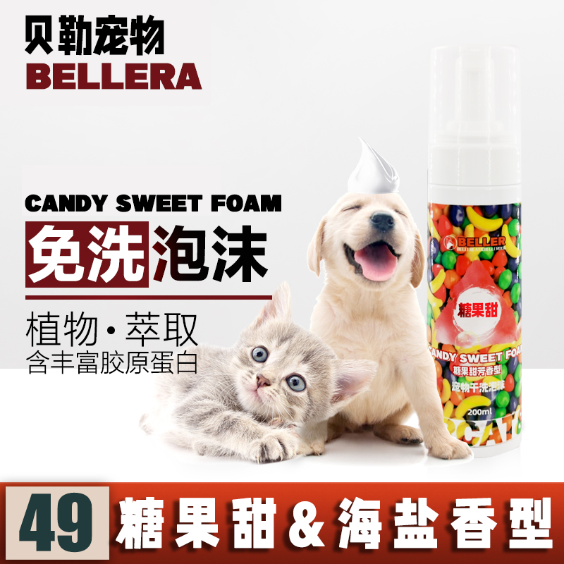 宠物犬洗澡的注意事项-宠物洗澡需要注意哪几点