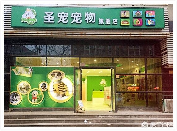 在家开宠物店-在家开宠物店赚钱吗