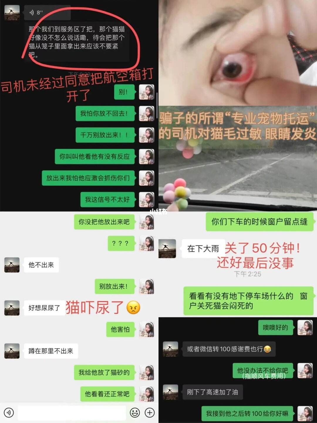 金毛siri事件-金毛siri事件主人和托运公司聊天记录