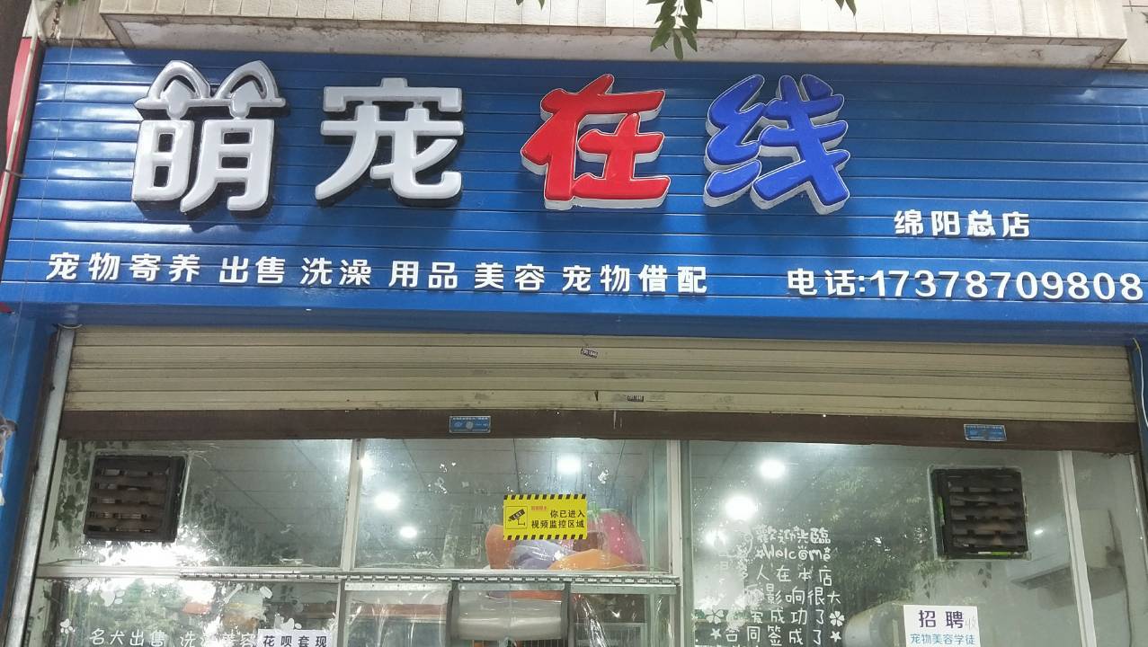 绵阳宠物美容店-绵阳宠物美容店哪家好