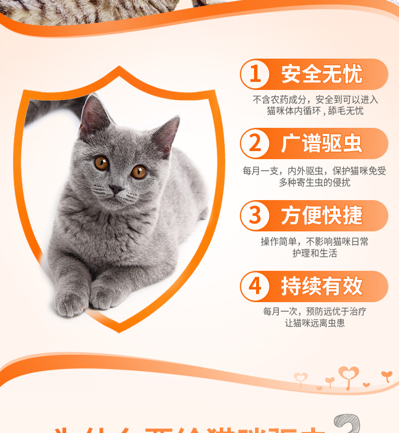 宠物猫驱虫-宠物猫驱虫的正确方法