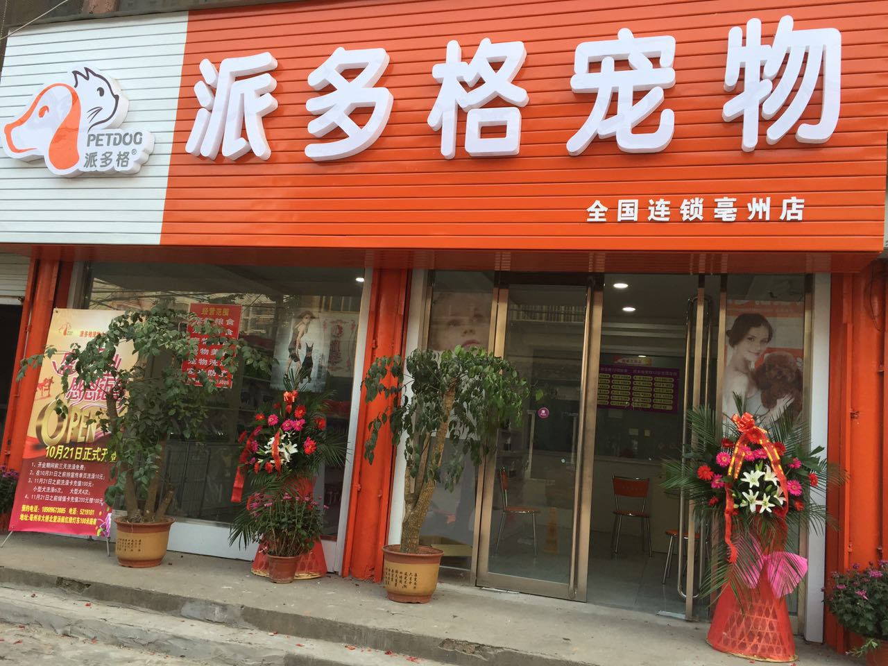 东安派多格宠物店-东安派多格宠物店在哪里