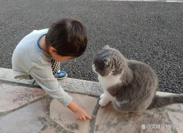 家里有小孩养什么宠物-家里有小孩养什么宠物好