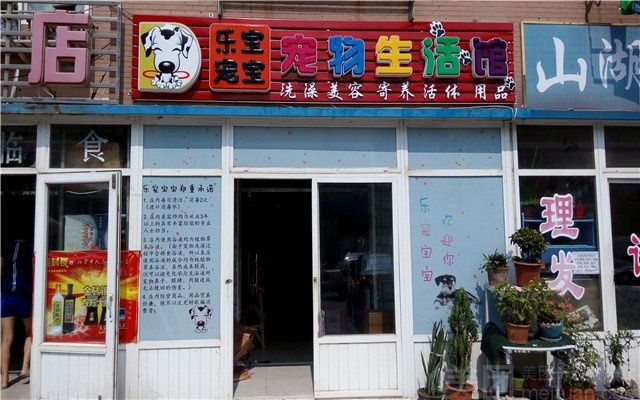 大连最大宠物店-大连最大宠物店地址