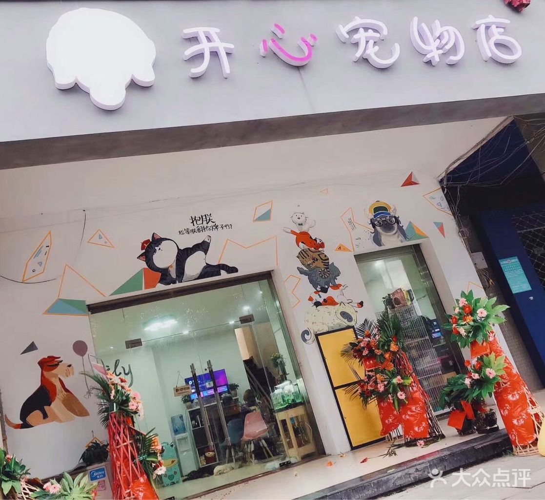 长沙最正规的宠物店-长沙最正规的宠物店在哪里