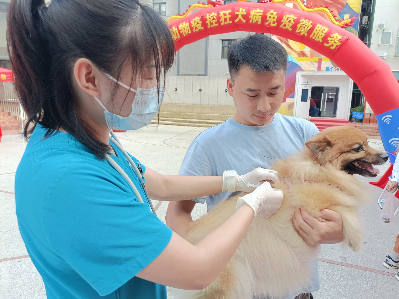 深圳宠物市场地址-深圳宠物市场地址电话