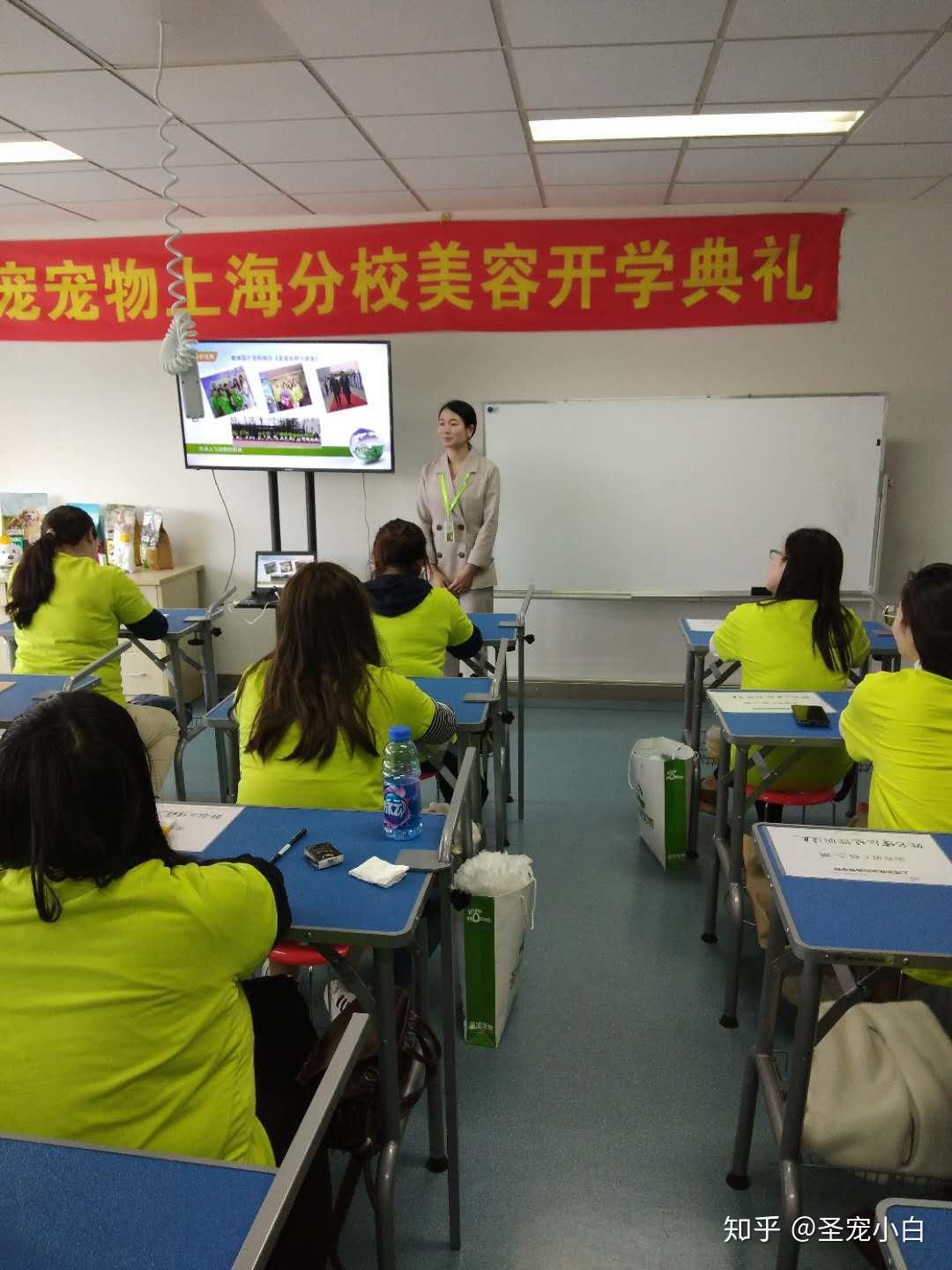 宠物学校上海-宠物学校上海哪家好