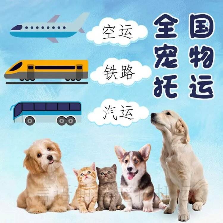 宠物托运空运价格-宠物空运托运收费标准