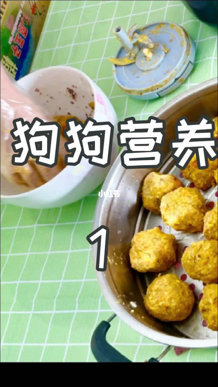 宠物狗的食谱-宠物狗食谱简单易做饭