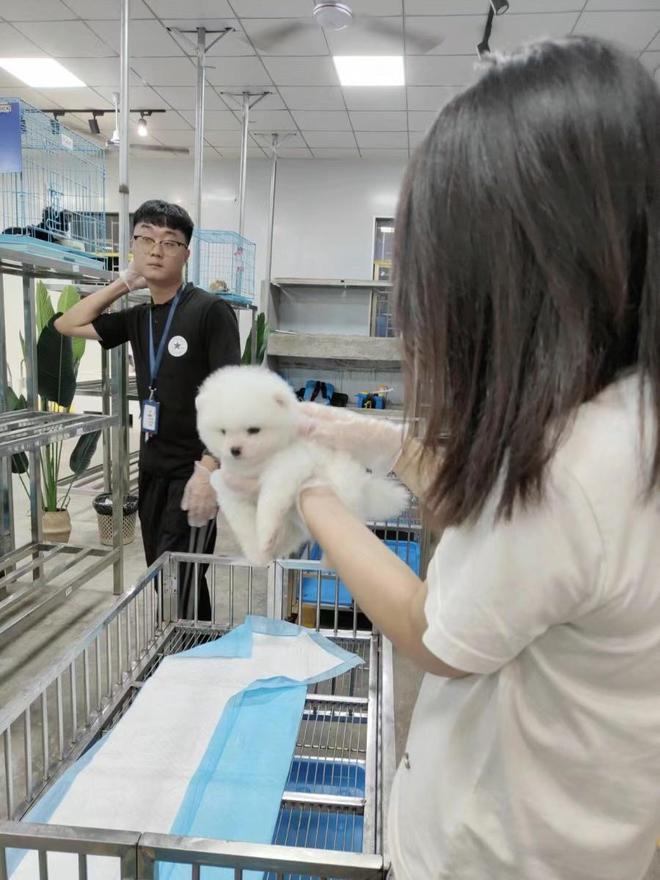 成都带宠物的地方-成都带宠物狗去的好地方