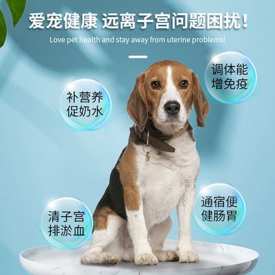 狗狗产后消炎方法-母犬产后消炎用什么药